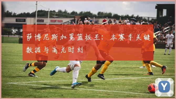 萨博尼斯加冕篮板王：本赛季关键数据与高光时刻