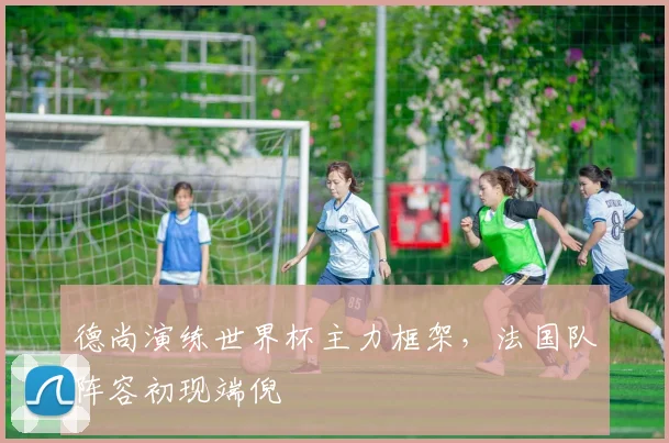 德尚演练世界杯主力框架，法国队阵容初现端倪