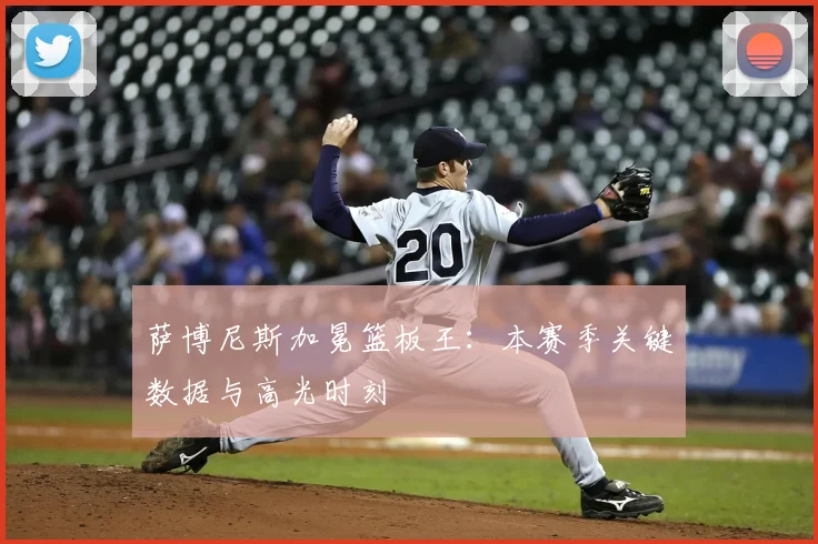 萨博尼斯加冕篮板王：本赛季关键数据与高光时刻